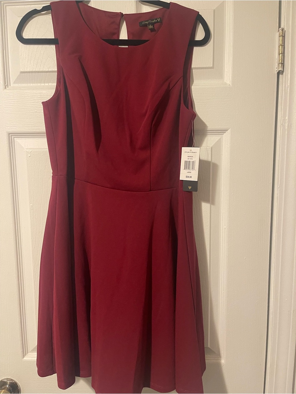 Gabriella Rocha Sleeveless Fit-and-Flare Dress in Wine Red